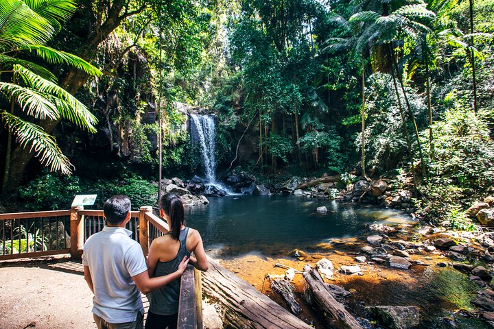 Aquaduck  Your choice of Gold Coast Rainforest Tour - tourismnoosa.com